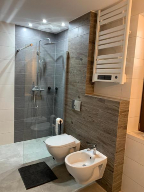 Apartament Nowy Targ